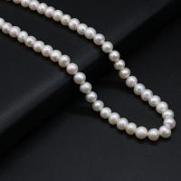 Runde ferskvandskulturperle Beads, Ferskvandsperle, du kan DIY, hvid, 6-7mm, Solgt Per 36 cm Strand