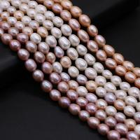 Perlas Arroz Freshwater, Perlas cultivadas de agua dulce, Bricolaje, más colores para la opción, 7-8mm, Vendido para 36 cm Sarta