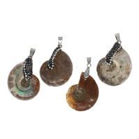 Natural Trumpet Shell Pendants Brass with Rhinestone Clay Pave & Trumpet Shell Sold By PC