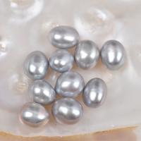 Cultured No Hole Freshwater Pearl Beads, DIY, silver-grey, 7mm, 5PC/Bag, Sold By Bag