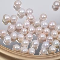 Cultured No Hole Freshwater Pearl Beads, DIY, white, 10-14mm, 5PC/Bag, Sold By Bag