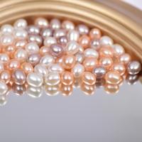 Cultured Half Drilled Freshwater Pearl Beads, DIY & half-drilled, more colors for choice, 6-9mm, 5PC/Bag, Sold By Bag