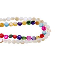 Perline conchiglia colorate naturalmente, Irregolare, DIY, nessuno, 8mm, Venduto per 38 cm filo
