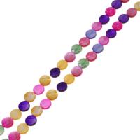 Perles de coquille colore naturelle, Plat rond, DIY, multicolore, Vendu par 38 cm brin