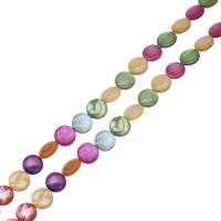 Perles de coquille colore naturelle, Plat rond, DIY, multicolore, Vendu par 38 cm brin