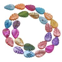 Perles de coquille colore naturelle, feuille, DIY, multicolore, 10x15mm, Vendu par 38 cm brin