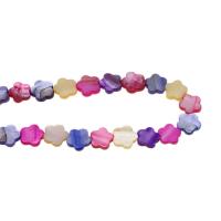 Perles de coquille colore naturelle, fleur, DIY, multicolore, Vendu par 38 cm brin
