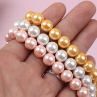 Perline conchiglia colorate naturalmente, Shell Pearl, DIY, nessuno, 6-14mm, Venduto per 40 cm filo
