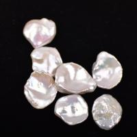 Cultured No Hole Freshwater Pearl Beads, DIY, white, 15-20mm, 5PC/Bag, Sold By Bag