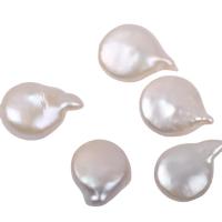 Perles nacres sans trou de culture d'eau douce, perle d'eau douce cultivée, DIY & aucun trou, blanc,  15-18mm, 5PC/sac, Vendu par sac