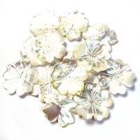 Natural White Shell Perler, Flower, du kan DIY, hvid, Solgt af PC