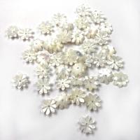 Prirodni White Shell perle, Bijela Shell, Cvijet, možete DIY, bijel, 10mm, Prodano By PC