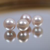 Perles nacres sans trou de culture d'eau douce, perle d'eau douce cultivée, DIY & aucun trou, blanc, 10mm, 5PC/sac, Vendu par sac