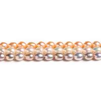 Cultured Rice Freshwater Pearl Beads, Ellipse, polished, different size for choice, more colors for choice, Sold Per Approx 13 Inch Strand