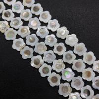 Naturlig Freshwater Shell Perler, White Shell, med Black Shell, Blomme blomstre, du kan DIY, blandede farver, 18mm, Solgt Per 38 cm Strand