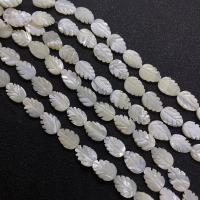 Perles de coquillages blancs, Lèvre blanche, feuille, gravé, DIY, blanc, 10x14mm, Vendu par 38 cm brin