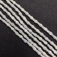 Natural White Shell Beads, Fish, DIY, white, 4x8mm, Sold Per 38 cm Strand