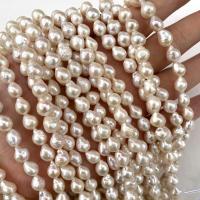 Perles nacres baroques de culture d'eau douce , perle d'eau douce cultivée, DIY, blanc, 8-9mm, Vendu par Environ 15 pouce brin