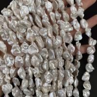 Perle perline Keishi coltivate d'acqua dolce, perla d'acquadolce coltivata naturalmente, DIY, bianco, 12x16-13x18mm, Venduto per Appross. 15 pollice filo