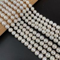 淡水養殖の真円真珠, 天然有核フレッシュウォーターパール, ラウンド形, DIY, ホワイト, 10-12mm, で販売される 約 15 インチ ストランド