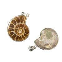 Natural Trumpet Shell Pendants, with Brass, Conch, platinum color plated, Unisex, yellow, 34-38mmx24-28mm, Sold By PC