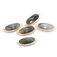 Connecteur de pierre gemme, Labradorite, avec laiton, Placage de couleur d'or, bijoux de mode & facettes, 11x27mm, Vendu par PC