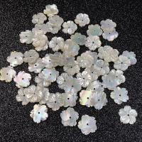 Natural White Shell Beads Flower DIY white Sold By PC
