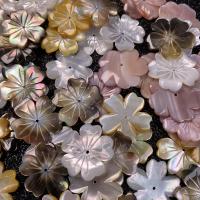 Натуральные пресноводные бусы оболочки, Ракушка, Форма цветка, DIY, Много цветов для выбора, 10mm, продается PC
