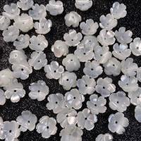 White Shell Bead Cap, Flower, DIY & different size for choice, white, Sold By PC