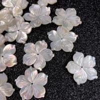 Natürliche weiße Muschelperlen, Blume, DIY & verschiedene Größen vorhanden, weiß, verkauft von PC
