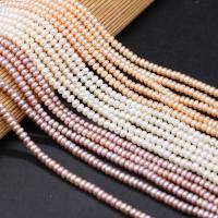 Tlačítko kultivované sladkovodní Pearl Beads, Kolo, DIY, více barev na výběr, 4-5mm, Prodáno za Cca 15 inch Strand