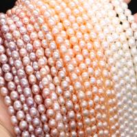 Perlas Arroz Freshwater, Perlas cultivadas de agua dulce, Irregular, Bricolaje, más colores para la opción, 5-6mm, Vendido para aproximado 13.2 Inch Sarta
