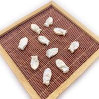 Naturalne perły słodkowodne perełki luźne, Perła naturalna słodkowodna, Ryba, biżuteria moda & DIY, biały, 10x17mm, sprzedane przez PC