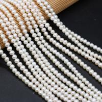 Cultured Round Freshwater Pearl Beads polished DIY green 5-5.5mm Sold Per Approx 12.1 Inch Strand