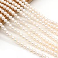 Perles de nacre rondes de culture d'eau douce, perle d'eau douce cultivée, DIY, blanc, 7-8mm, Vendu par Environ 15 pouce brin