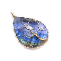 Labradorite Pendant with Brass gold color plated random style black 35~55mm Sold By PC