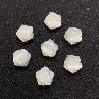 Natural White Shell Beads White Lip Shell DIY  white Sold By PC