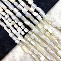 Prirodni White Shell perle, Bijela Shell, Nepravilan, možete DIY, bijel, 11-13mm, Prodano Per Približno 15 inčni Strand