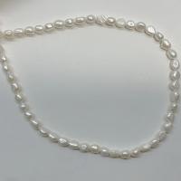 Perle perline Keishi coltivate d'acqua dolce, perla d'acquadolce coltivata naturalmente, DIY, bianco, 6-7mm, Venduto per 14.96 pollice filo