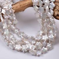 Perles de culture d'eau douce Keishi, perle d'eau douce cultivée, étoile, Style baroque, blanc, 11-13mm, Vendu par Environ 15 pouce brin