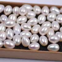 Half Vrtané kultivované sladkovodní perle, Sladkovodní Pearl, Slza, DIY & half-vrtané, bílý, 7-8mm, Prodáno By PC