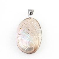 Shell Pendants Zinc Alloy with Shell white Sold By PC