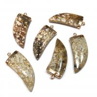 Gemstone Vedhæng Smykker, Messing, med Natursten, Horn, naturlig, blandede farver, 18x45mm, Solgt af PC