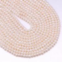 Apvalūs Kultūringas gėlavandenių perlų karoliukai, Gėlo vandens perlų, Turas, Pasidaryk pats, baltas, 4-5mm, Parduota už Apytiksliai 13.7 Inch Strand