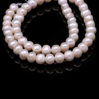 Runde ferskvandskulturperle Beads, Ferskvandsperle, du kan DIY, hvid, 8-9mm, Solgt Per Ca. 13.7 inch Strand