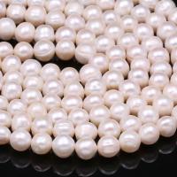 Perlas Redondas Freshwater, Perlas cultivadas de agua dulce, Esférico, Bricolaje, Blanco, 8-9mm, Vendido para aproximado 15 Inch Sarta