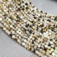 Natural Freshwater Shell Beads Round DIY mixed colors Sold Per Approx 15 Inch Strand