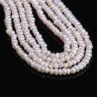 Cultured Button Freshwater Pearl Beads DIY 2.5-3mm Sold Per 14.96 Inch Strand