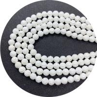 Ciondoli naturali di conchiglia bianca, bianco conchiglia, Cerchio, Inciso, DIY, bianco, Venduto per 38 cm filo