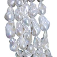 Perles nacres baroques de culture d'eau douce , perle d'eau douce cultivée, DIY, blanc, 15mm, Vendu par Environ 38 cm brin
